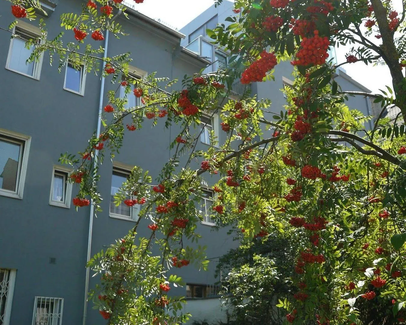 Bergland Hotel - Adults Only Salzburg